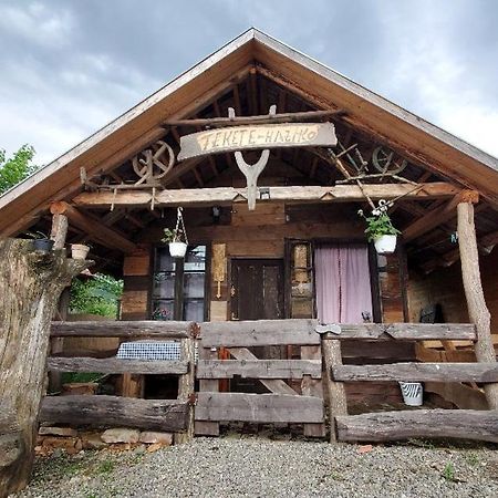 Casa Rustic Feher & Fekete Vendeghazak Sovata Ngoại thất bức ảnh
