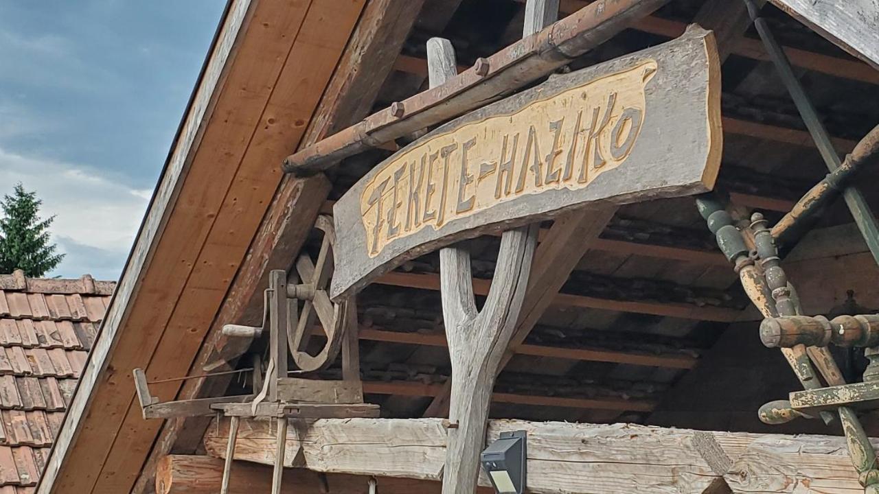 Casa Rustic Feher & Fekete Vendeghazak Sovata Ngoại thất bức ảnh