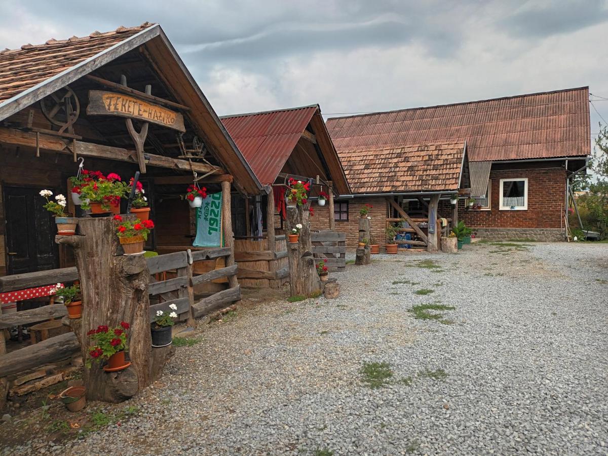 Casa Rustic Feher & Fekete Vendeghazak Sovata Ngoại thất bức ảnh